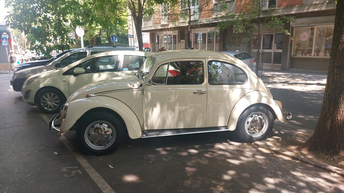 IMG-20250705-WA0008.jpeg