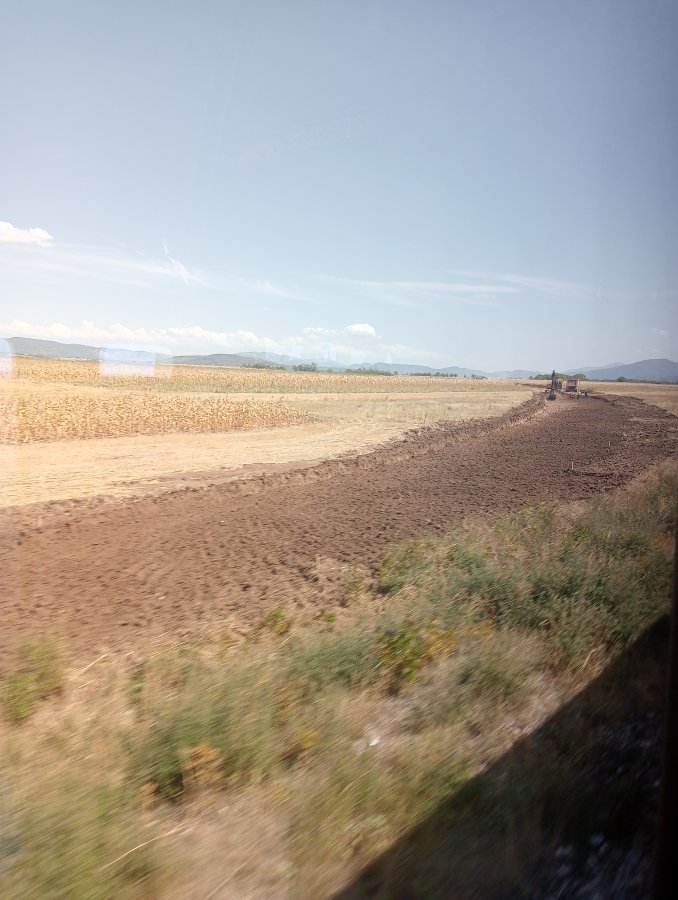 IMG20250903125818.jpg