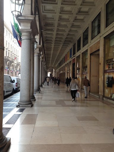 IMG_0529.jpeg