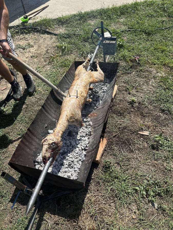 IMG_1778.jpeg