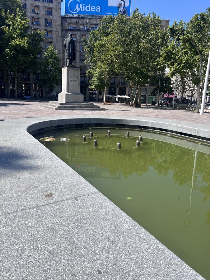 IMG_1983.jpeg