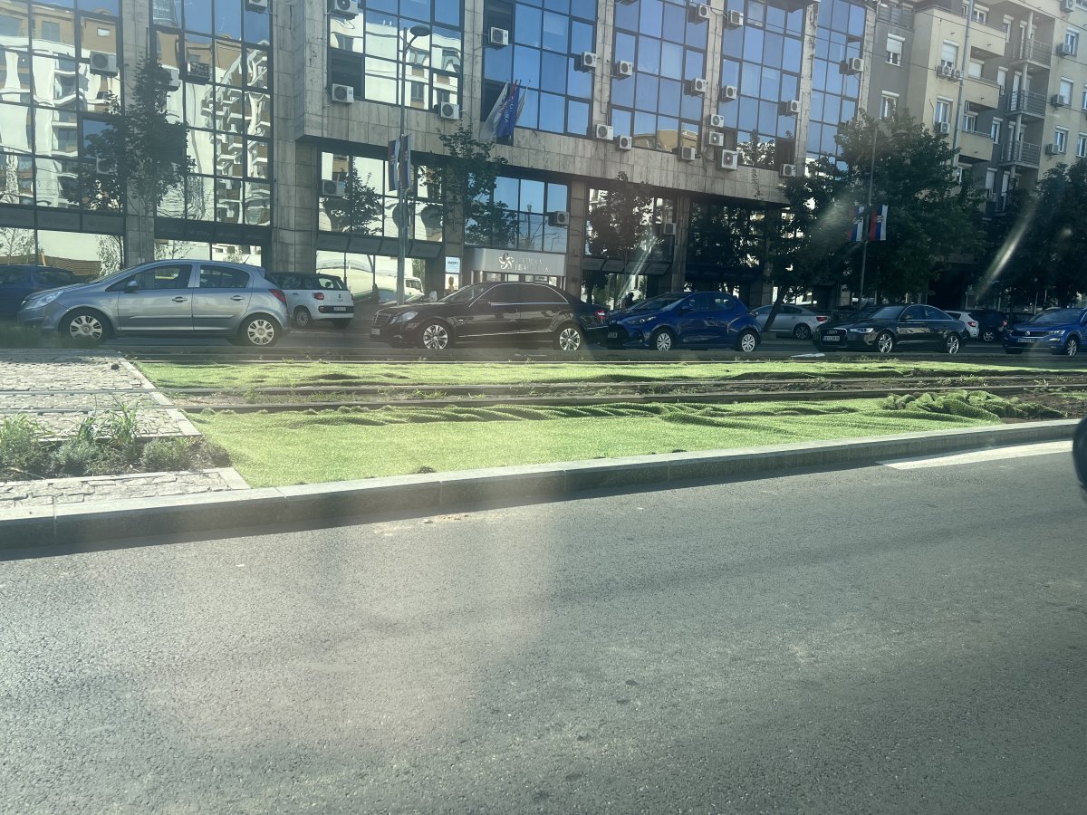 IMG_2003.jpeg