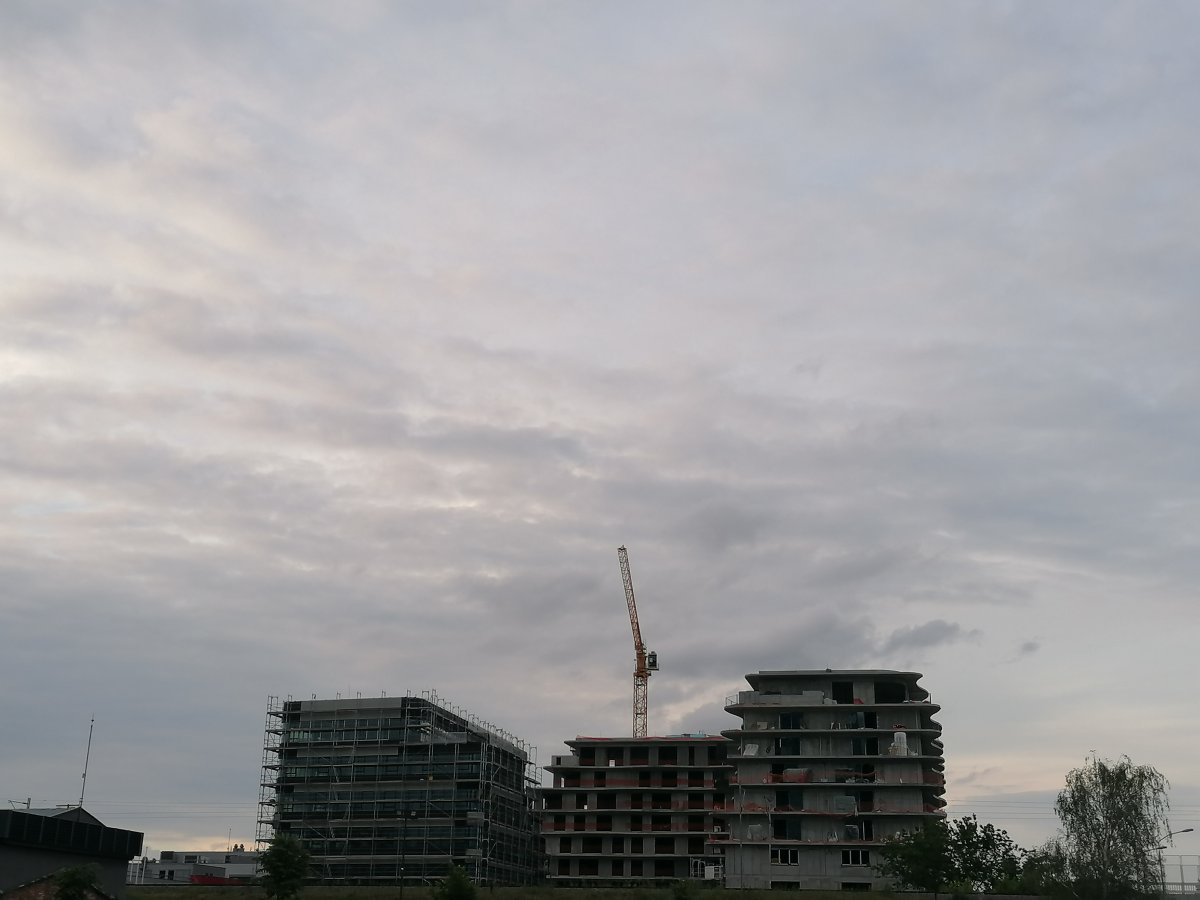 IMG_20250524_191845.jpg