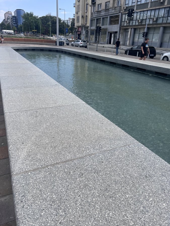 IMG_2050.jpeg