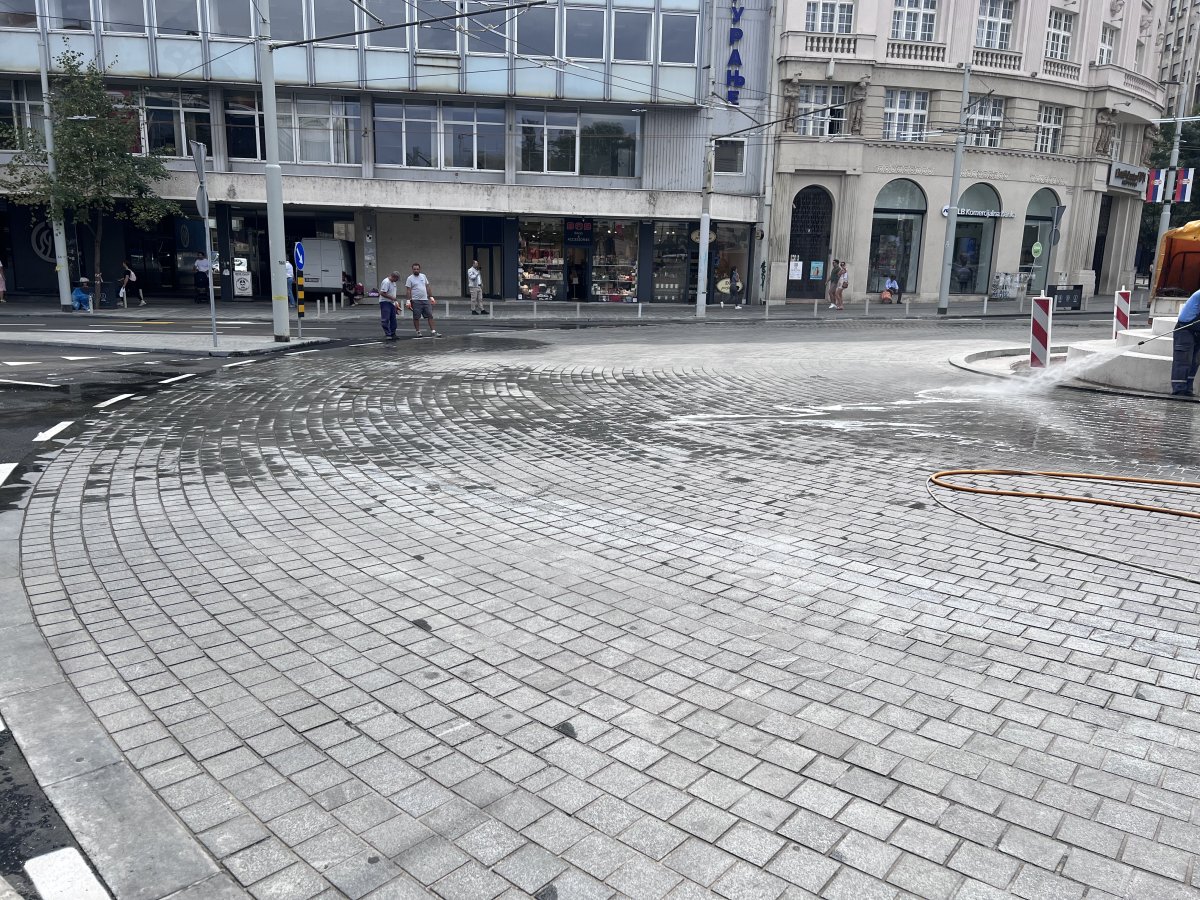IMG_2252.jpeg