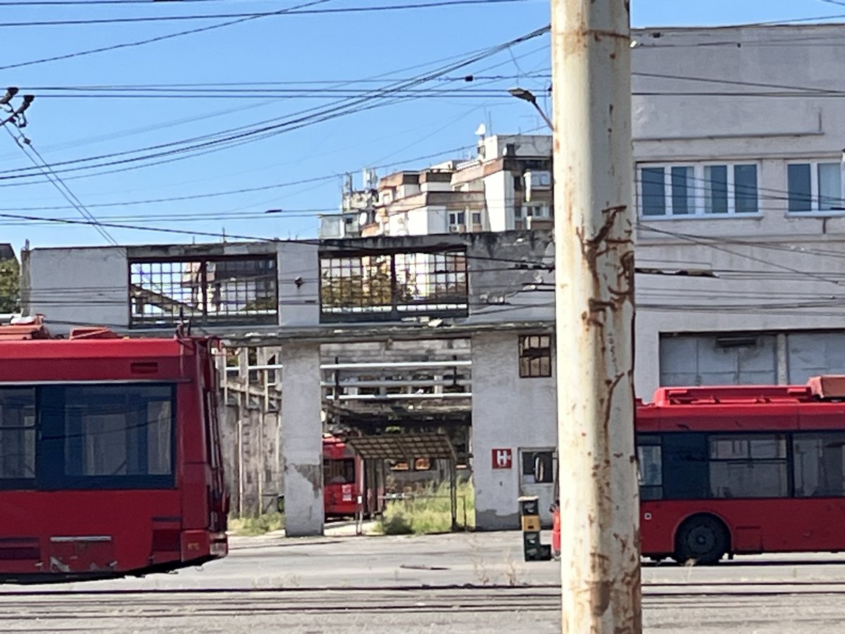 IMG_3214.jpeg