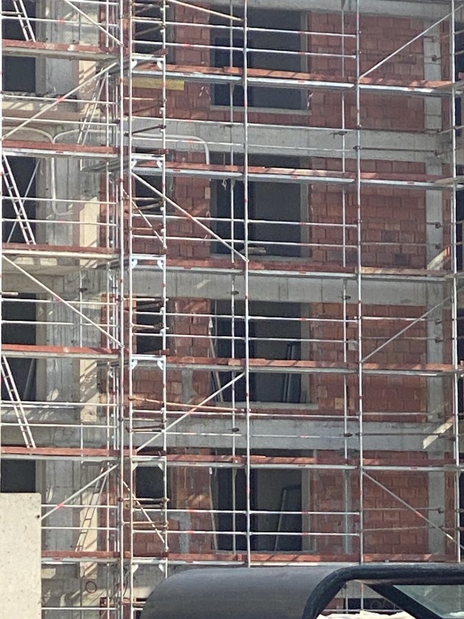IMG_3533.jpeg