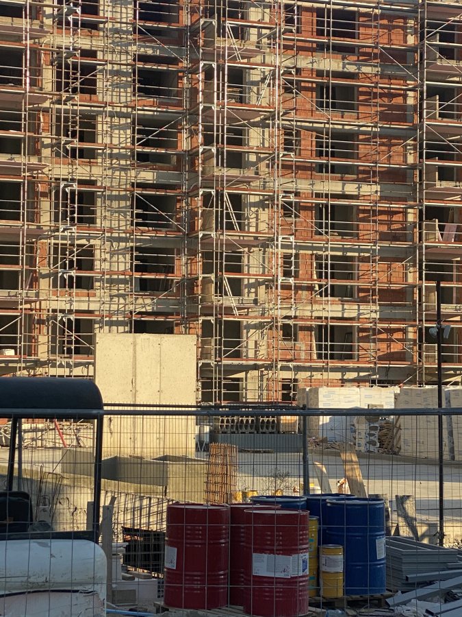 IMG_3596.jpeg