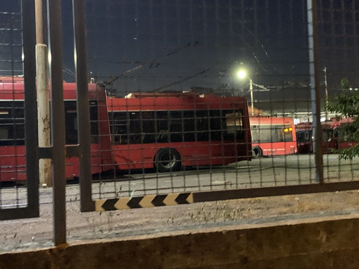 IMG_3880.jpeg