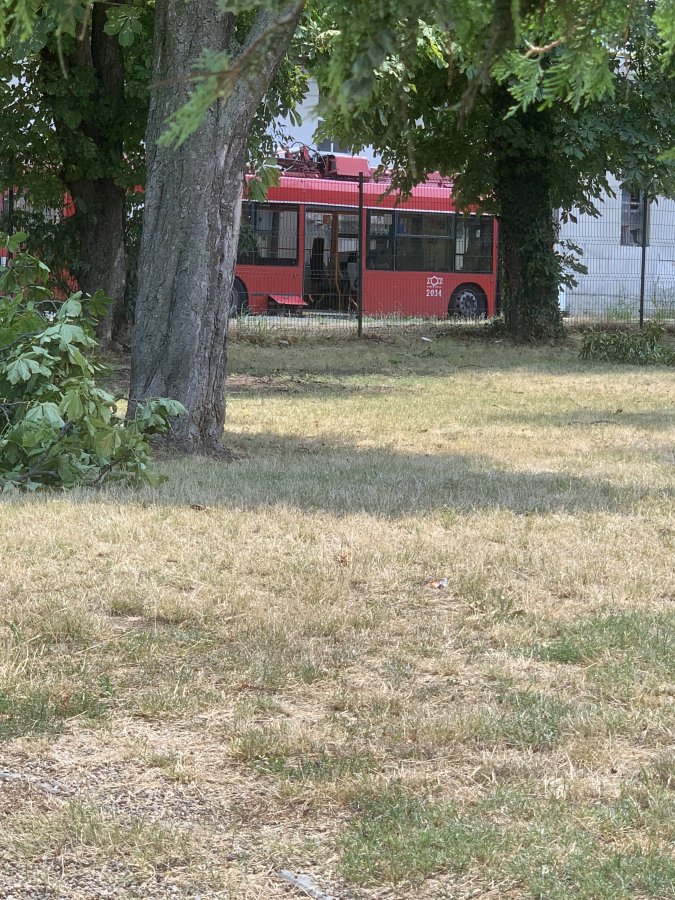 IMG_4106.jpeg