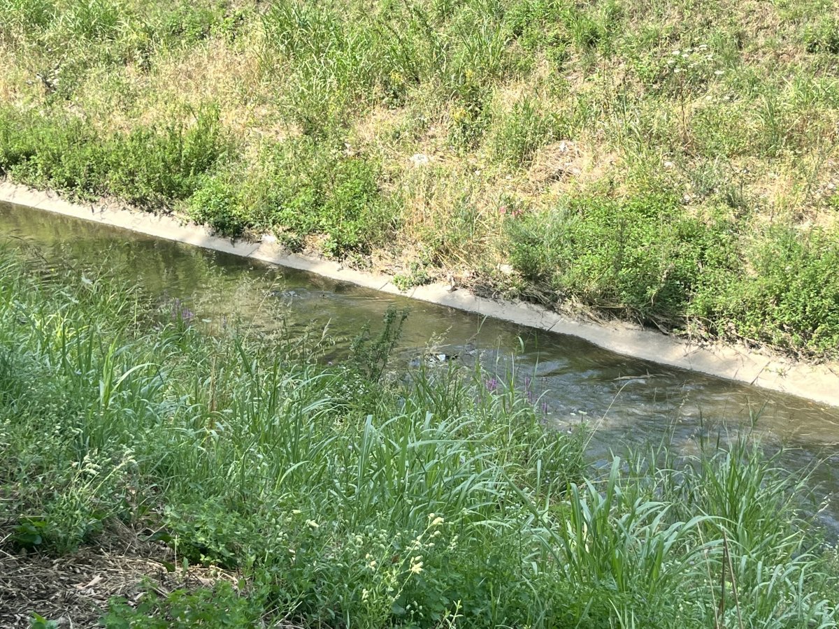 IMG_4882.jpeg