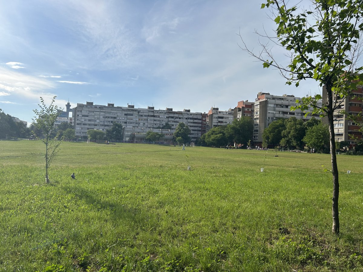 IMG_5573.jpeg