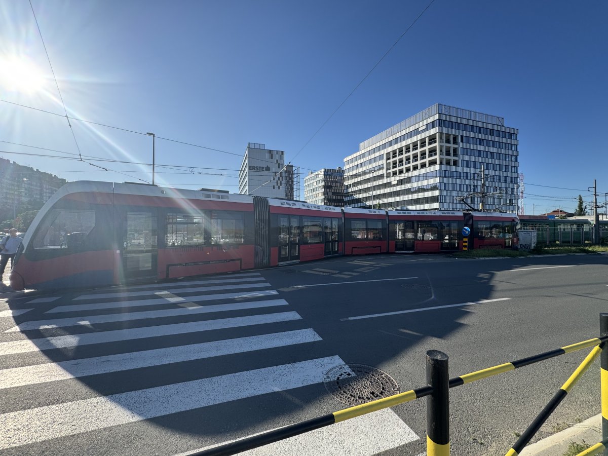IMG_5823.jpeg