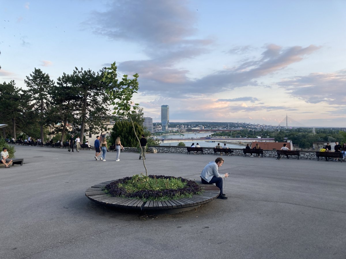 IMG_6566.jpeg