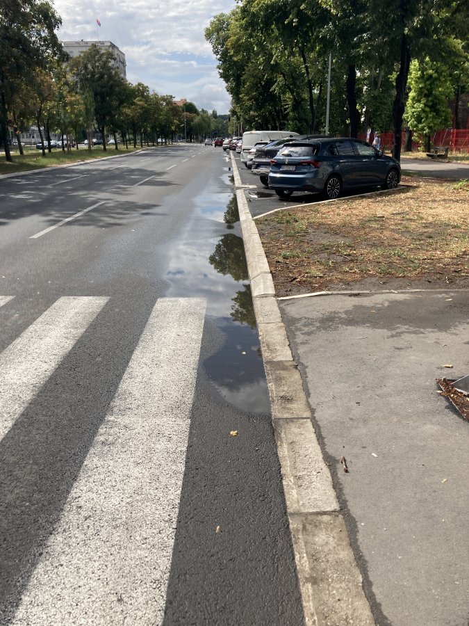 IMG_6775.jpeg