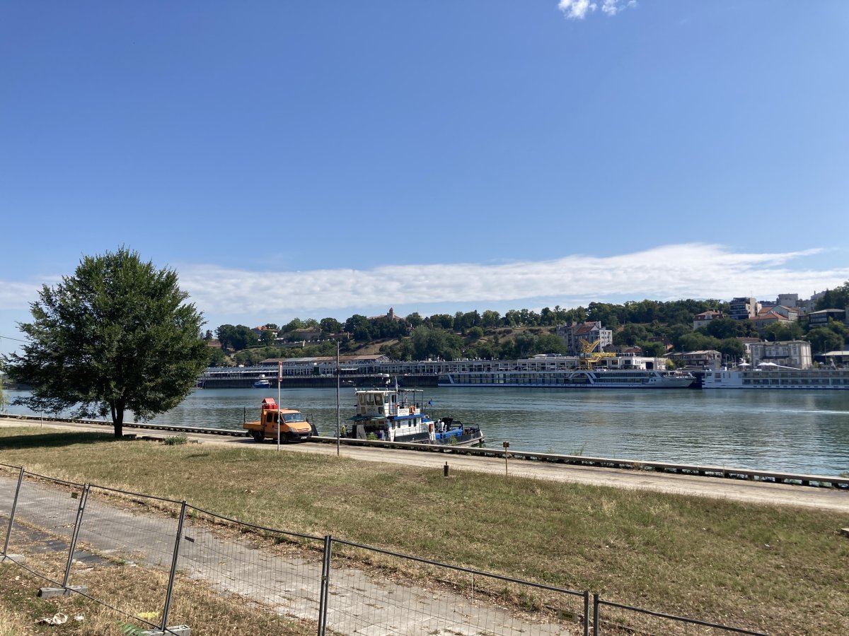 IMG_6786.jpeg