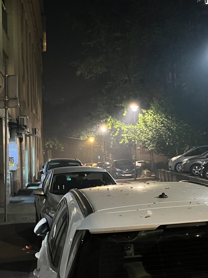 IMG_8210.jpeg