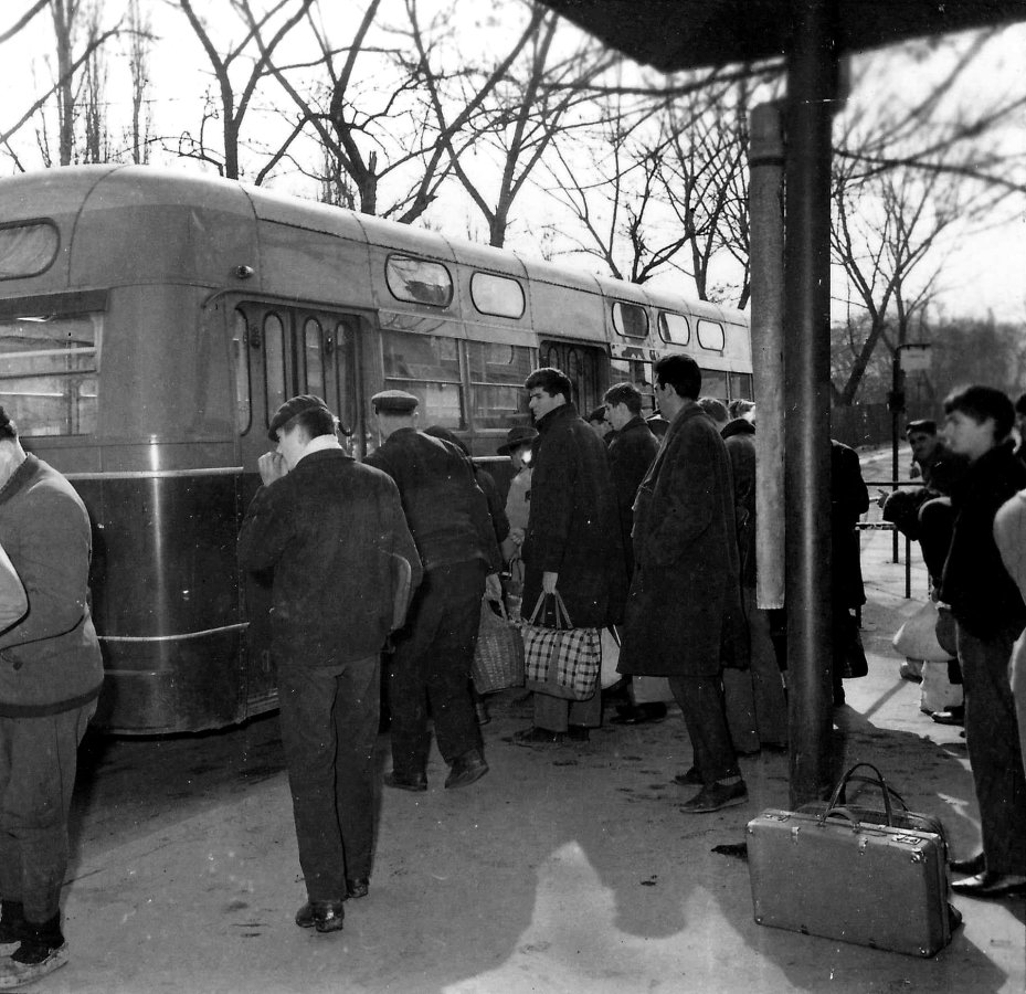 Leyland u Zarkovu.jpg