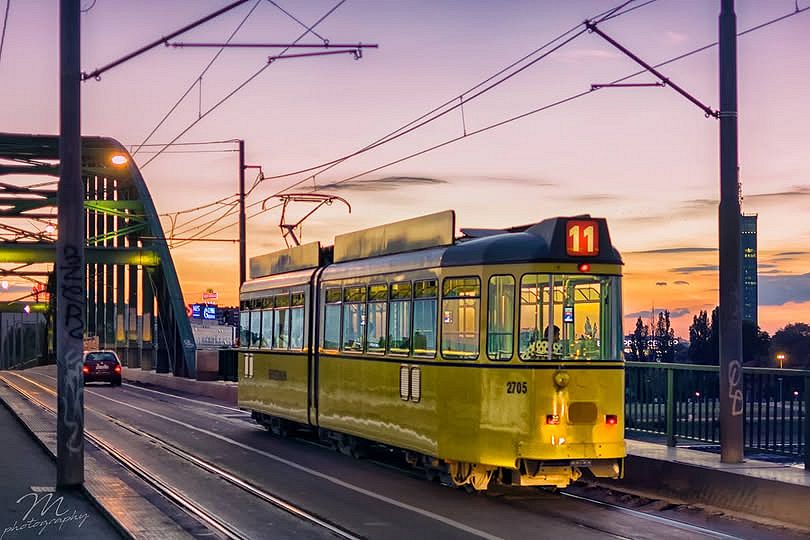 Mirko Ristanovic-Petrovic.jpg