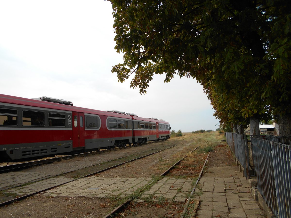 mln 002.JPG