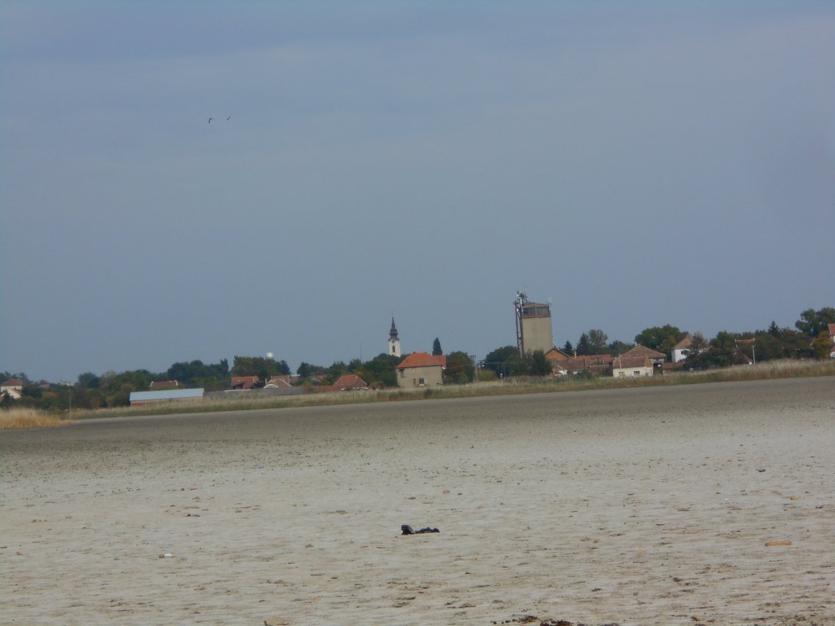 mln 012.JPG