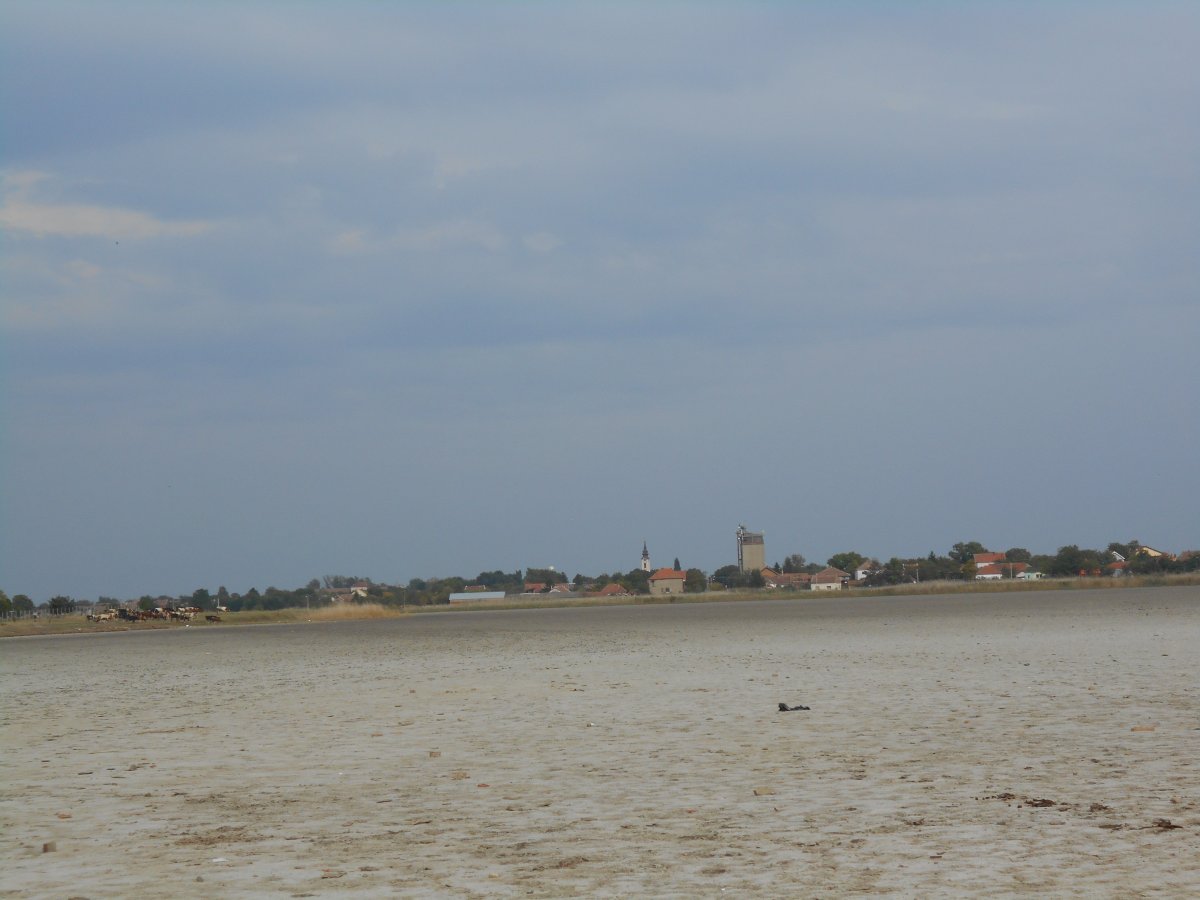 mln 014.JPG
