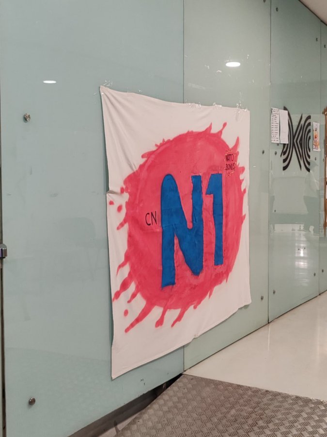 n1.jpg