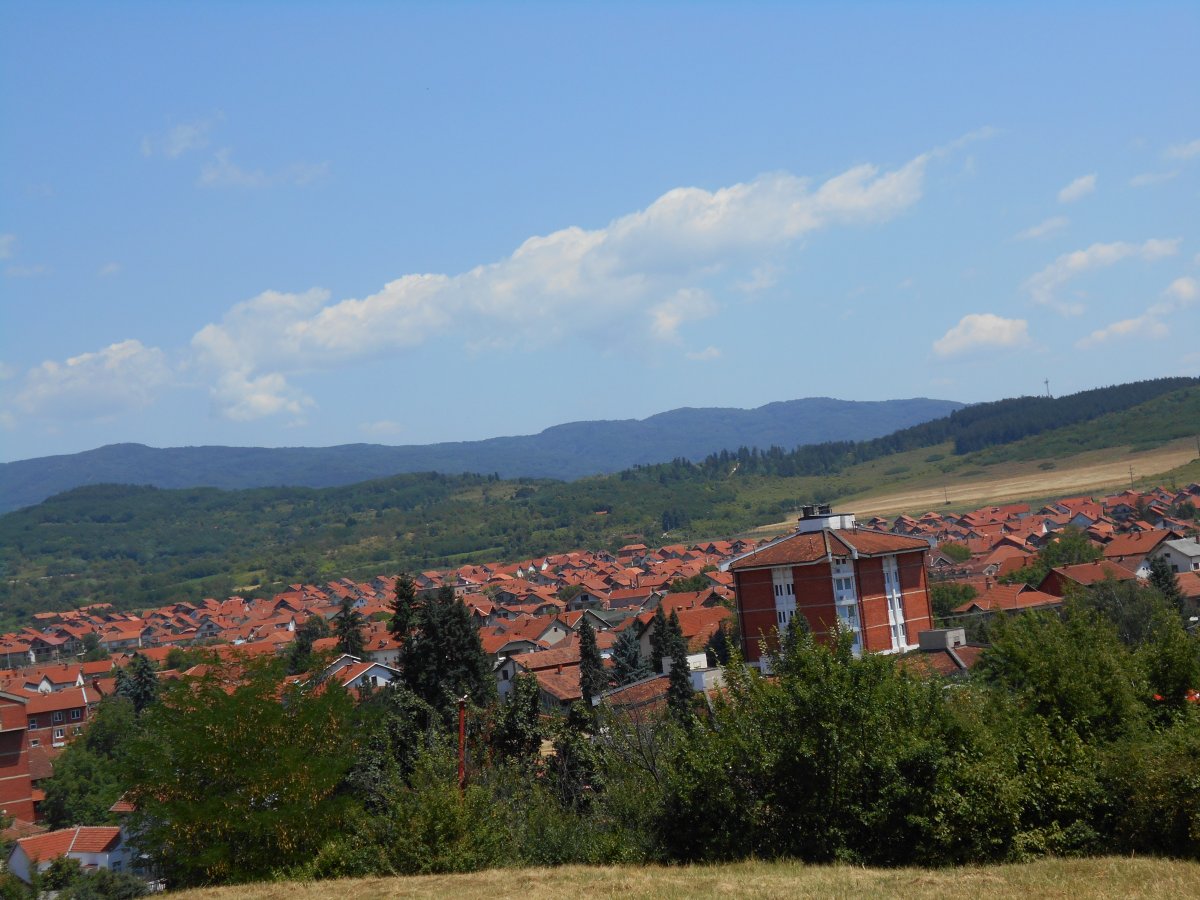 nis2017 081.jpg