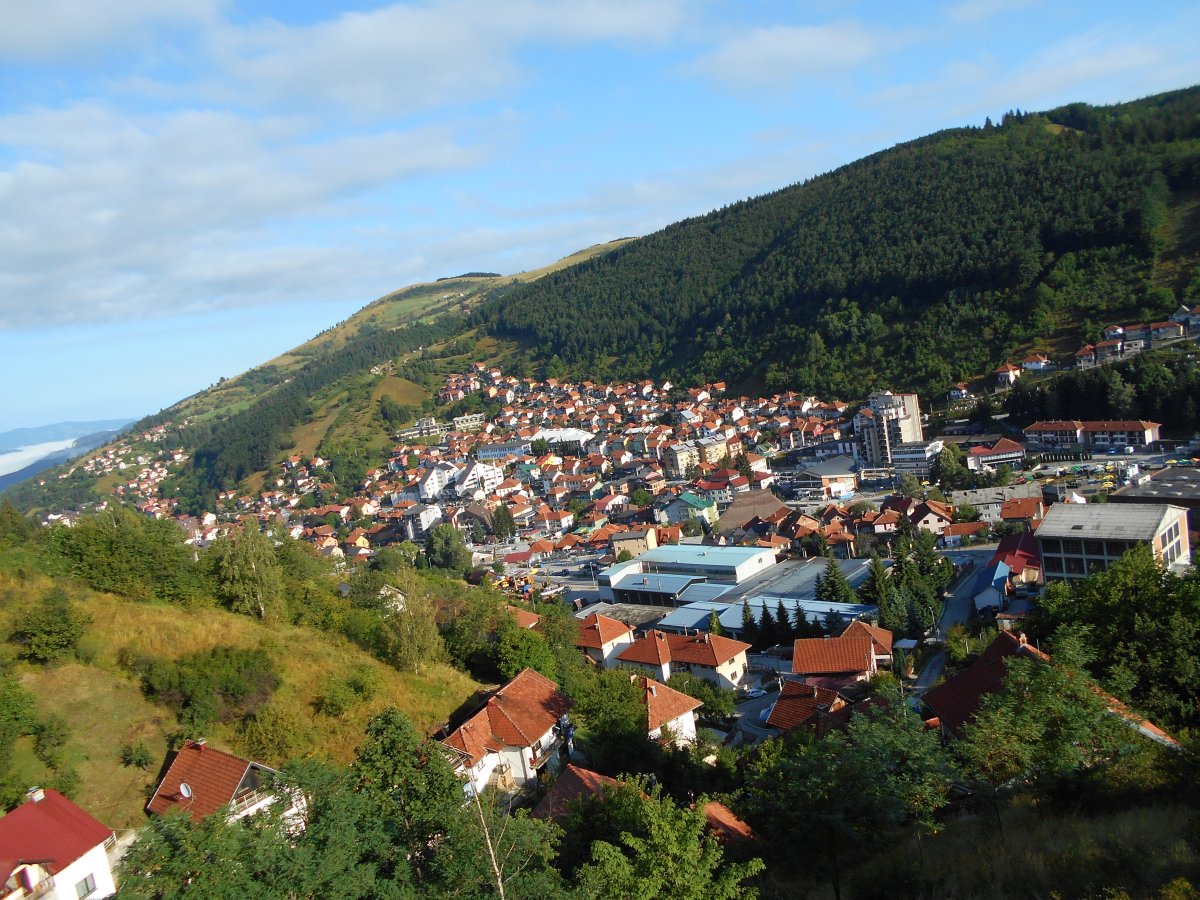 nvs 064.jpg