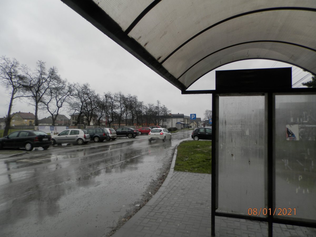 P1080023.JPG