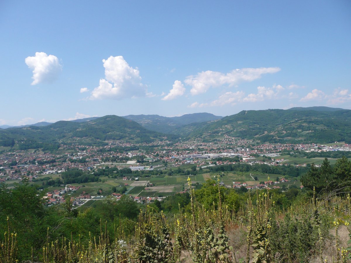 P1100209.JPG