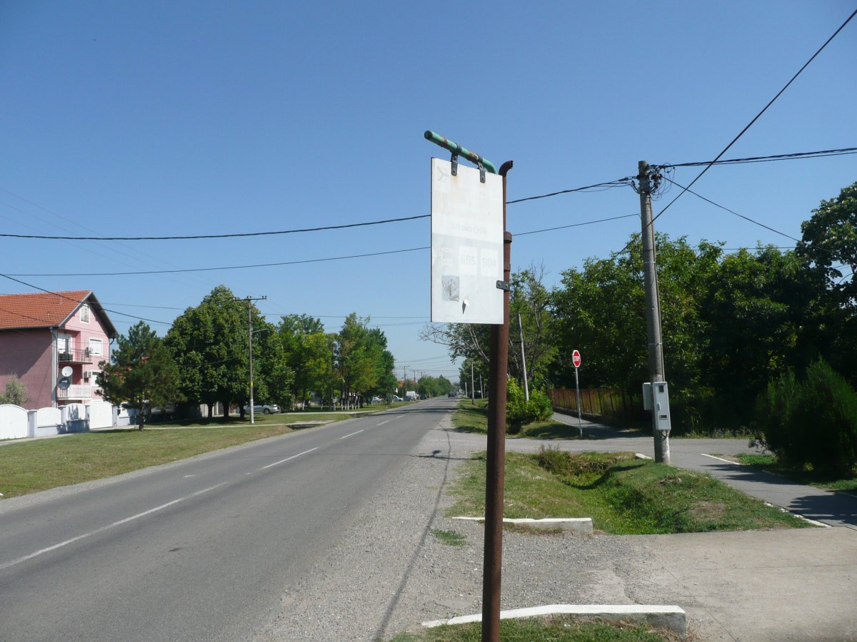 P1100289.JPG