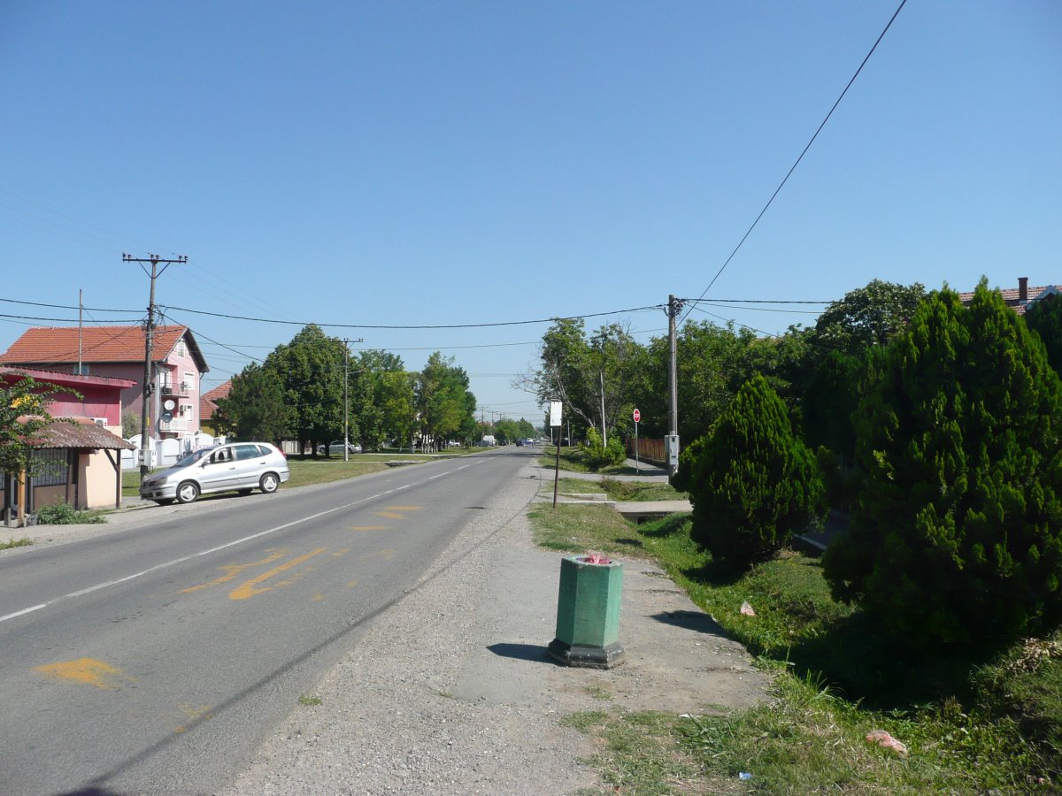 P1100290.JPG