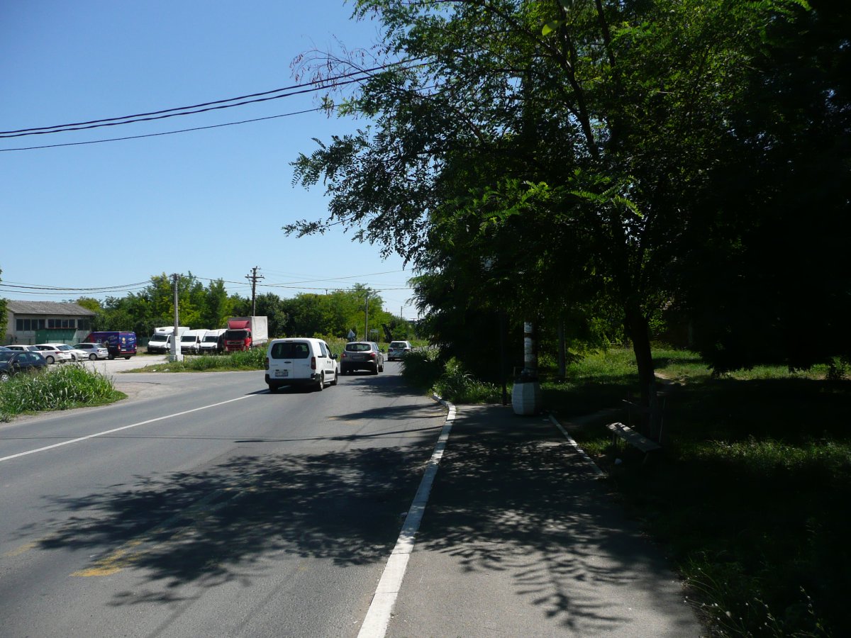 P1100300.JPG