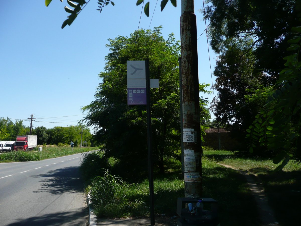 P1100301.JPG