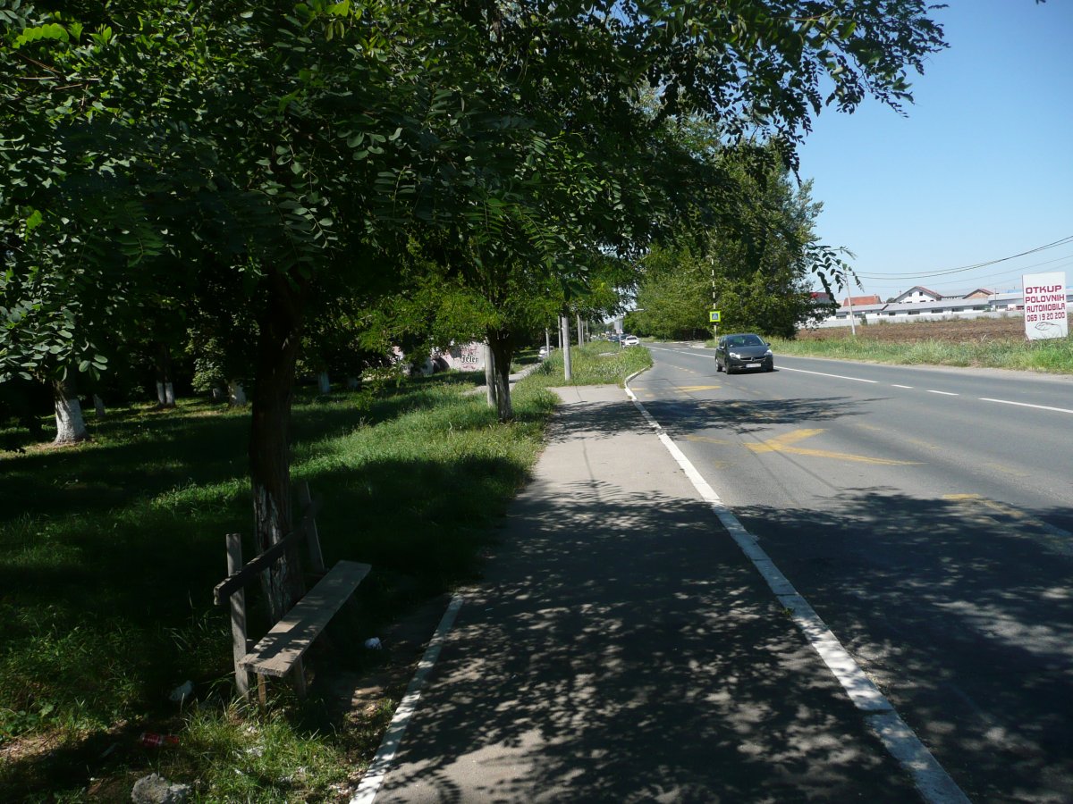 P1100302.JPG