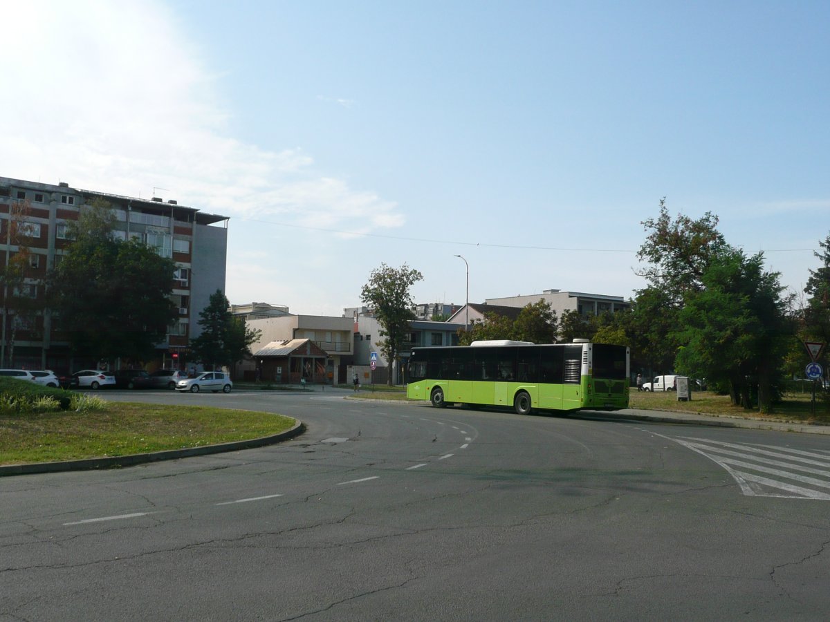 P1100333.JPG