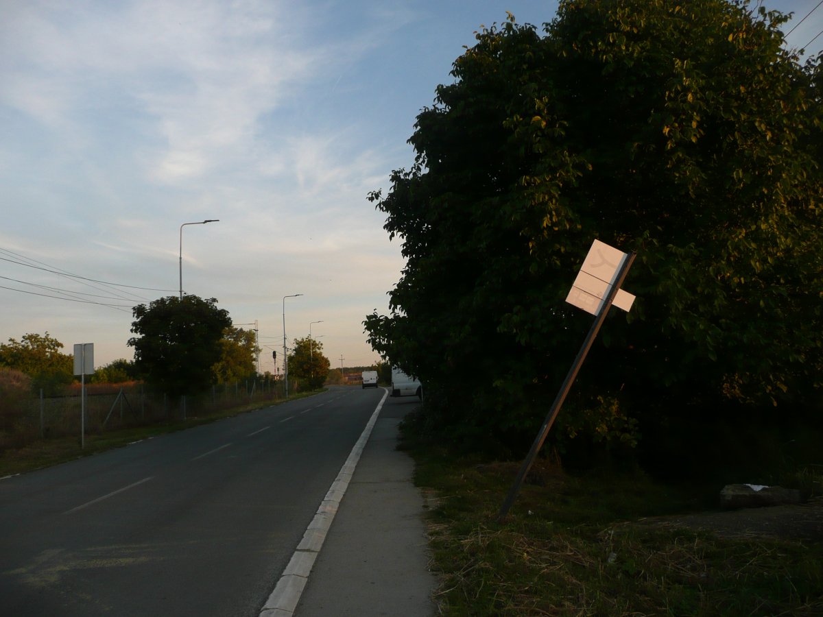 P1100354.JPG