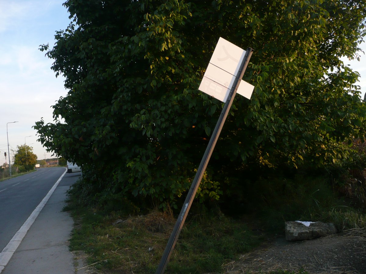 P1100355.JPG