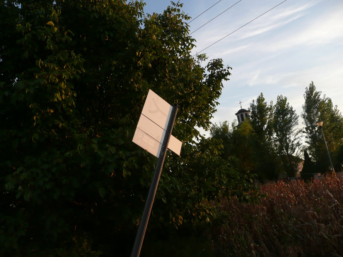 P1100356.JPG
