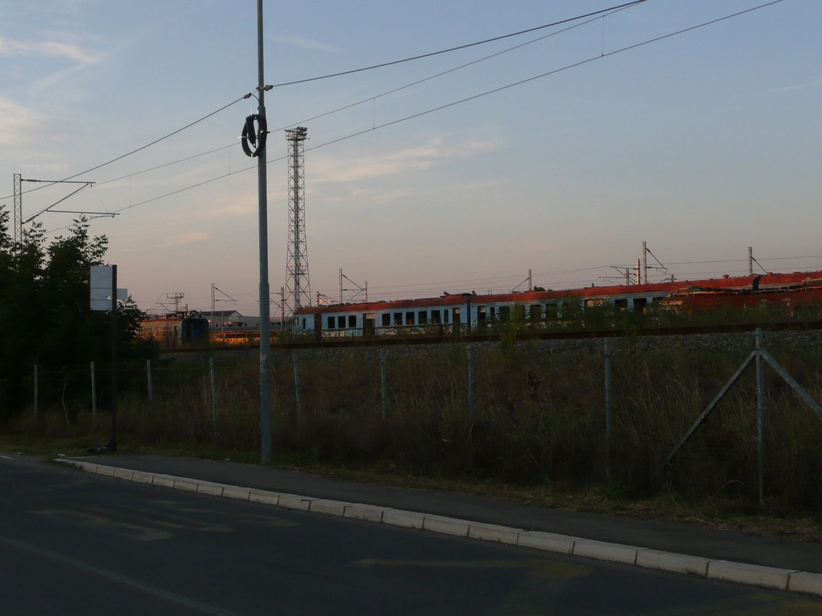 P1100357.JPG