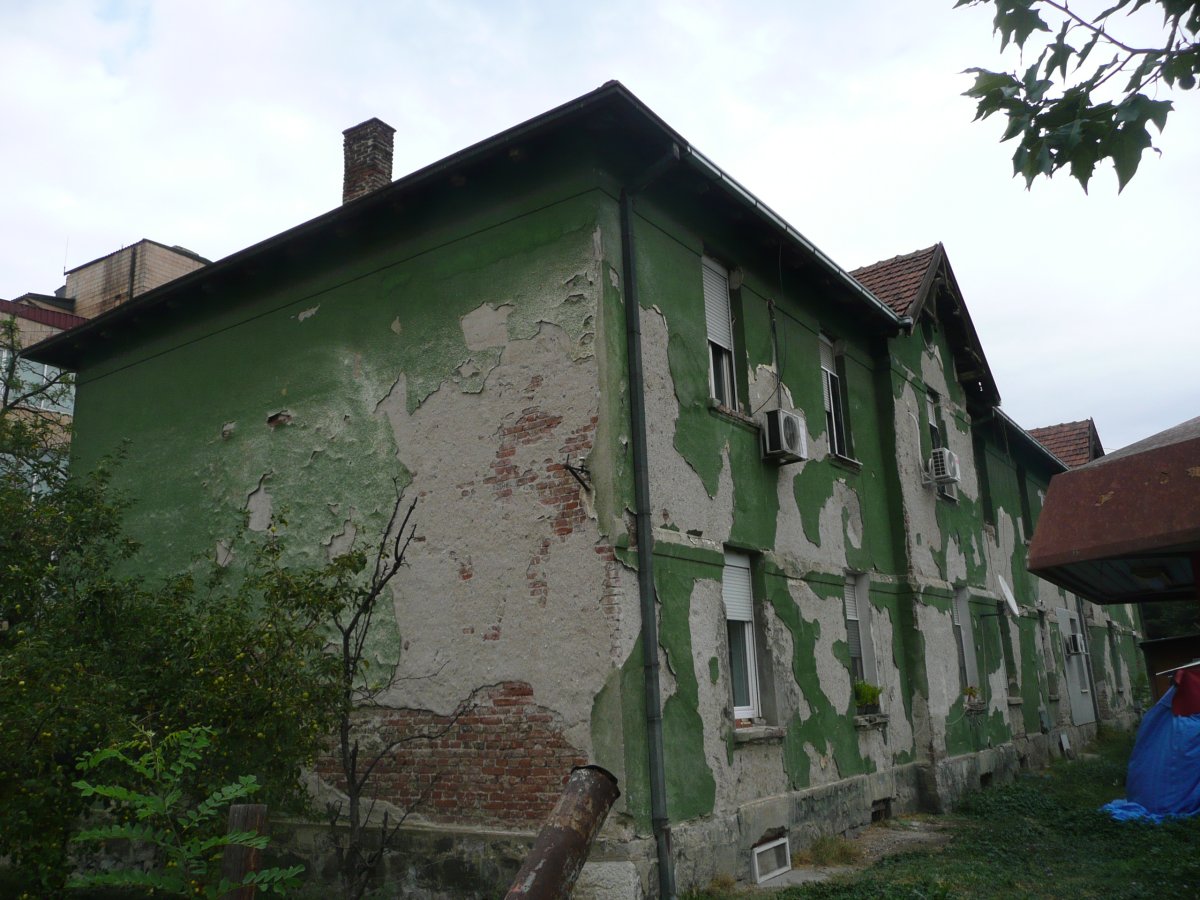 P1100474.JPG