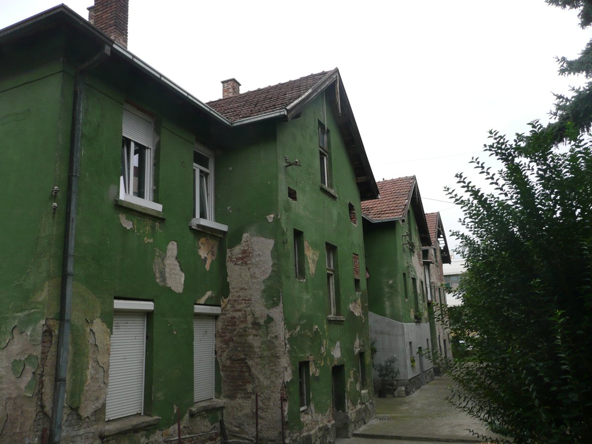 P1100475.JPG