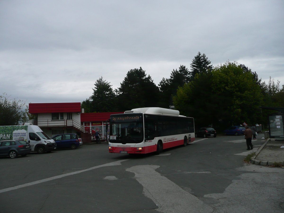 P1100494.JPG
