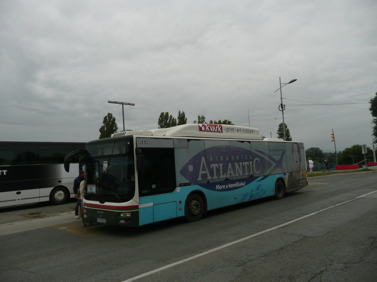 P1100508.JPG