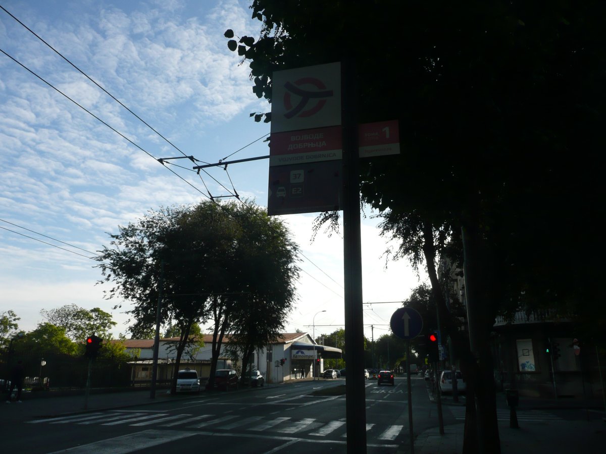 P1100526.JPG