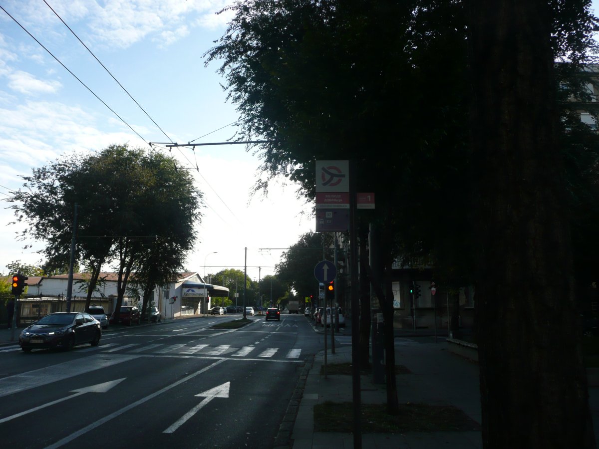 P1100527.JPG