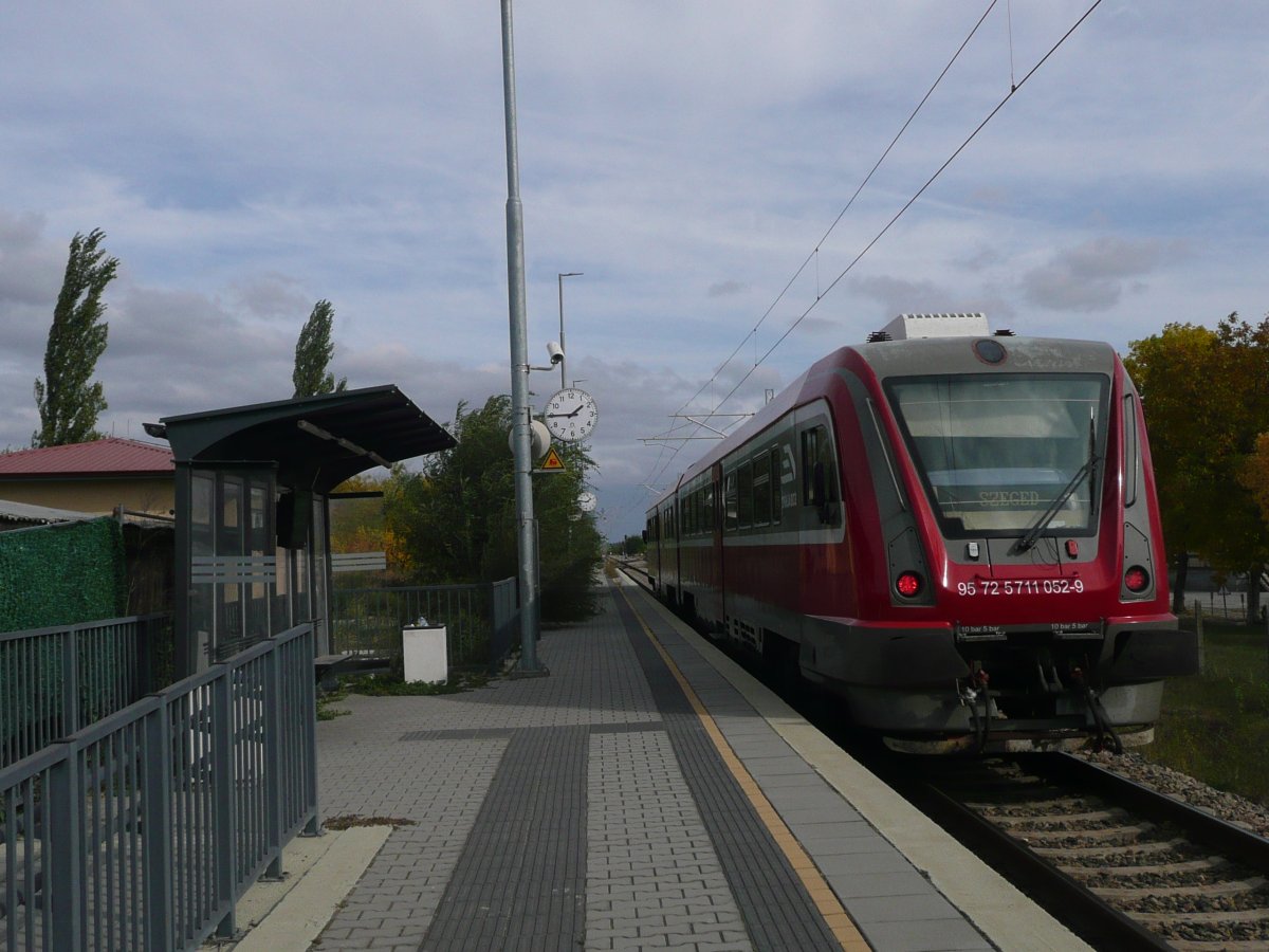 P1100539.JPG
