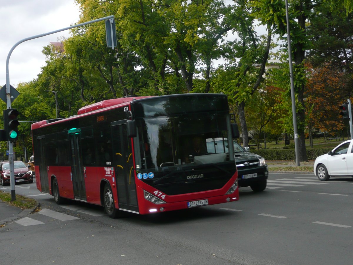 P1100541.JPG