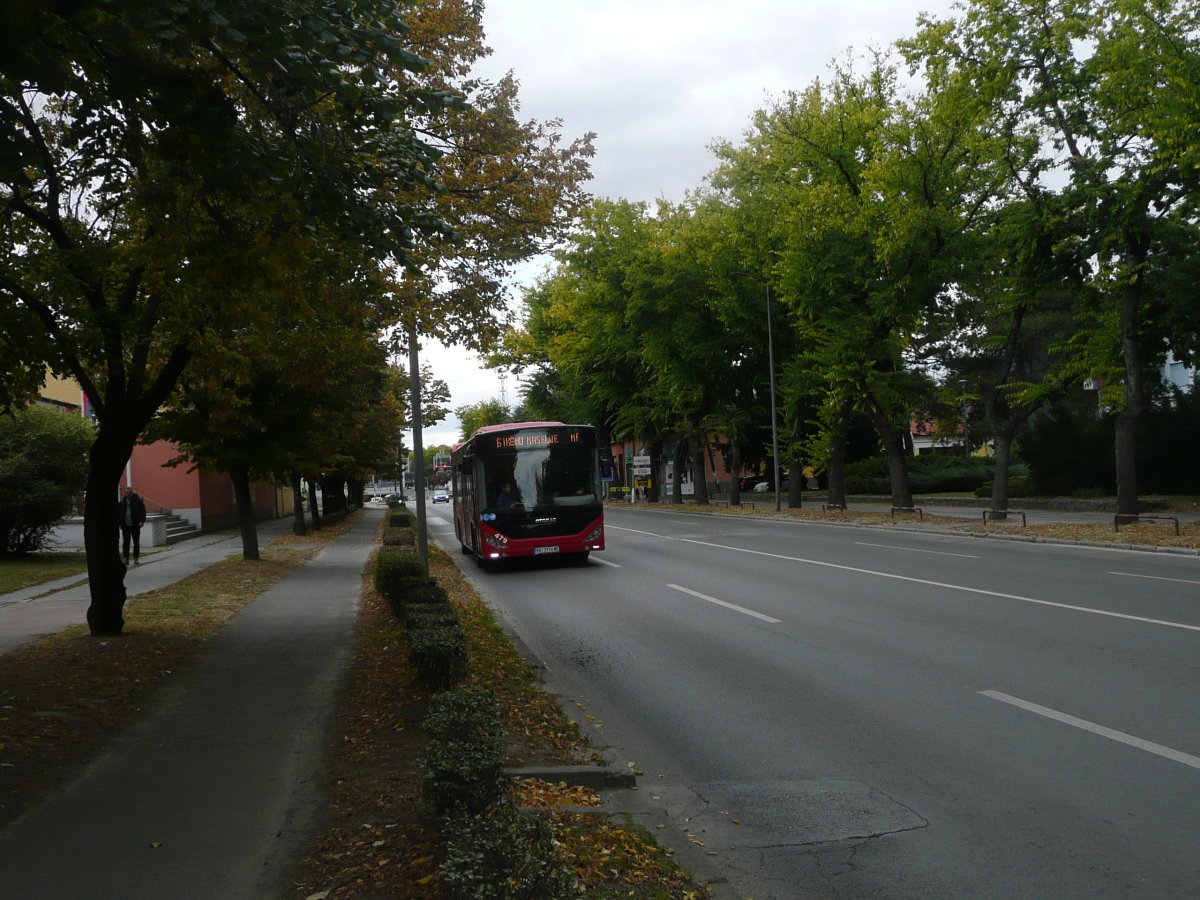 P1100546.JPG
